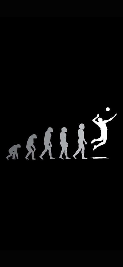 Evolution Of Man To Volleyball Player Wallpaper