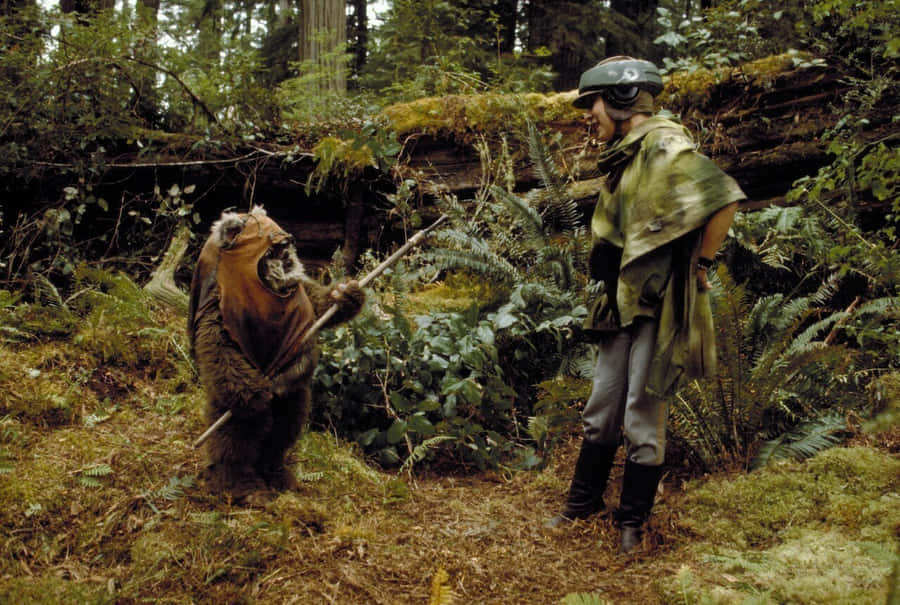 Ewok_and_ Rebel_ Scout_in_ Forest Wallpaper