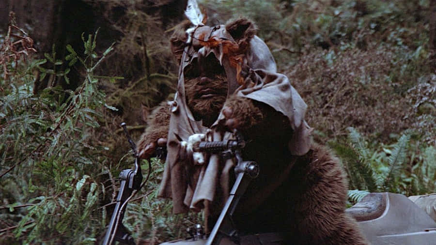 Ewok On Speeder Bikein Forest Wallpaper
