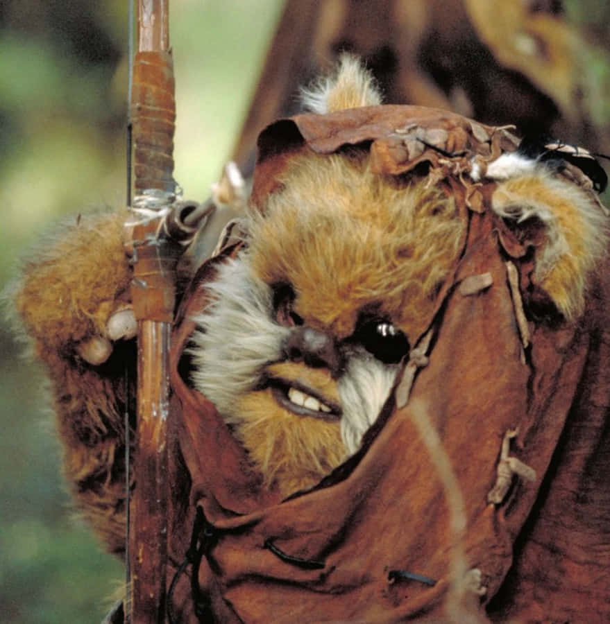 Ewok Warriorwith Bow Wallpaper