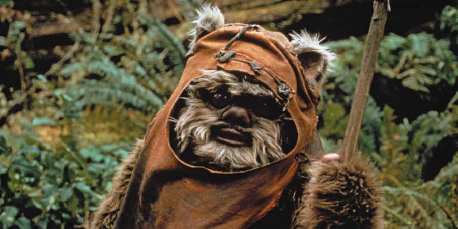 Ewokin Hood Forest Backdrop.jpg Wallpaper