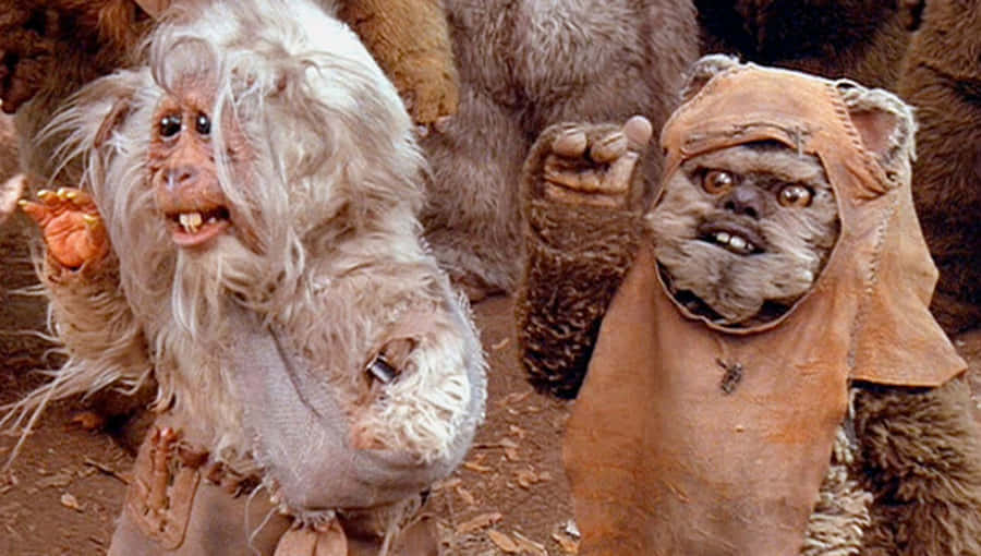 Ewoksfrom Star Wars Wallpaper