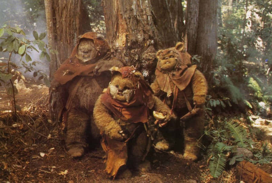 Ewoksin Forest Endor Wallpaper