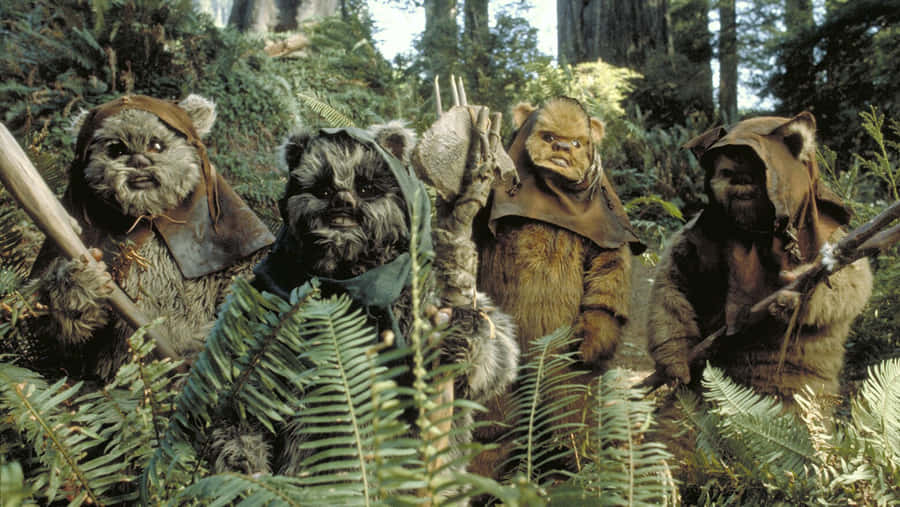 Ewoksin Forest Scene Wallpaper