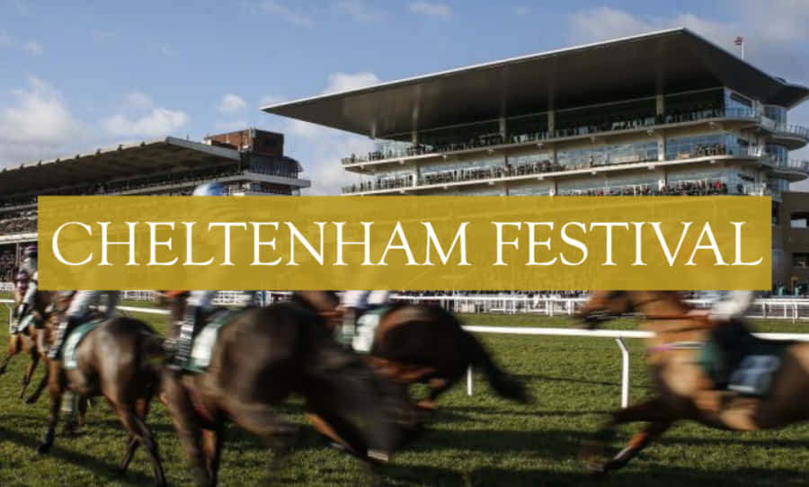 Exciting Horse Race At The Cheltenham Festival Wallpaper