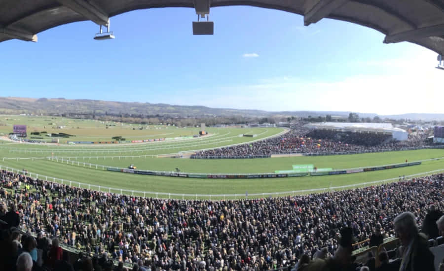 Exciting Horse Racing Action At Cheltenham Festival Wallpaper