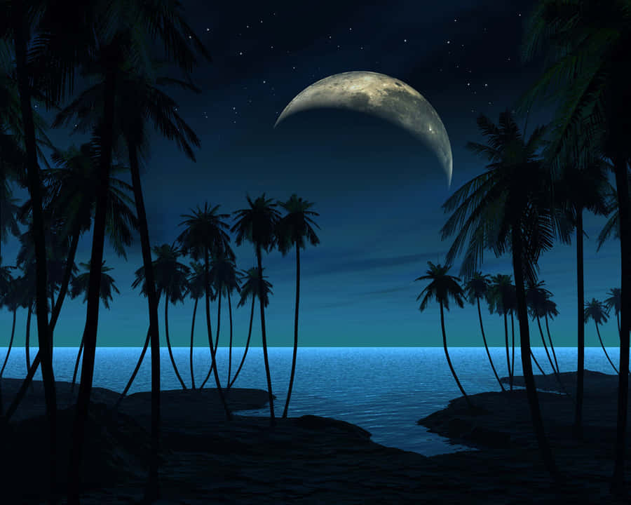 Exotic Full Moon [wallpaper] Wallpaper