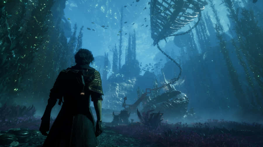 Expedition 33 Underwater Discovery Wallpaper