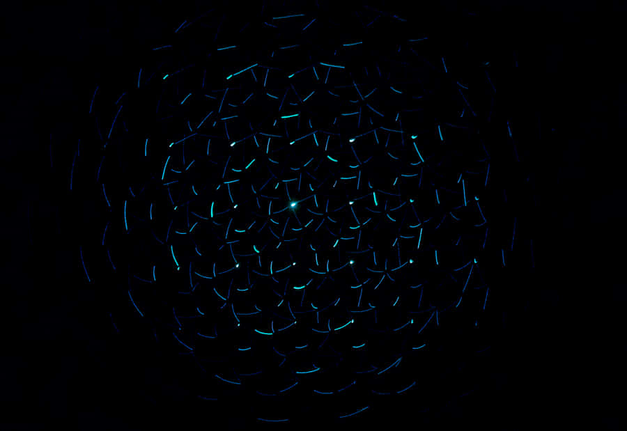 Experience And Learn How To Get Rid Of Dark Circles Wallpaper