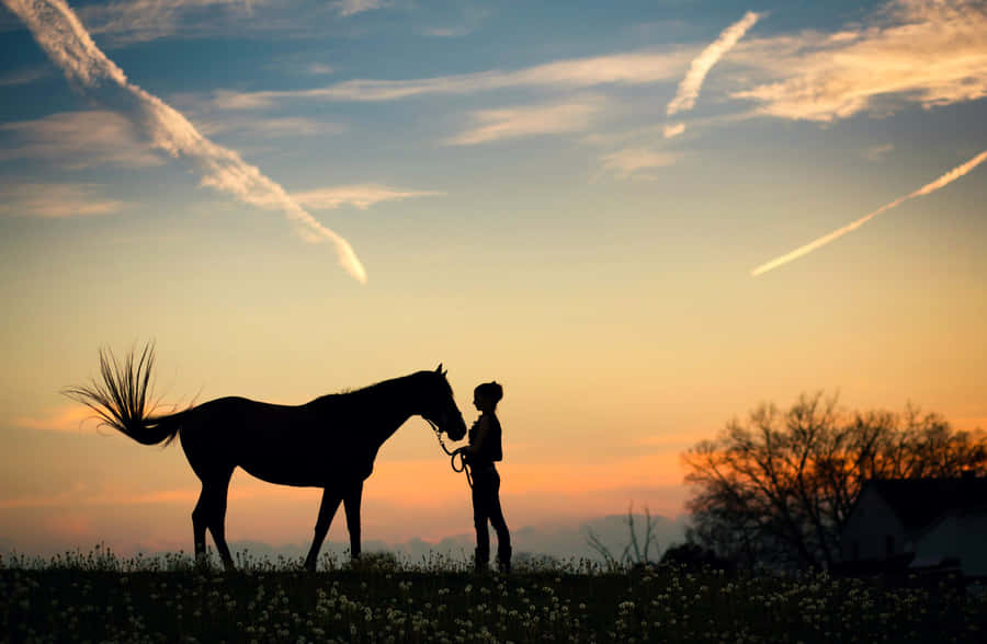 Experience The Tranquil Beauty Of A Ranch Wallpaper