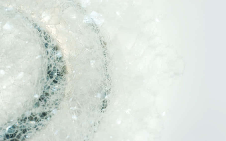 Explore A World Of Fragrance