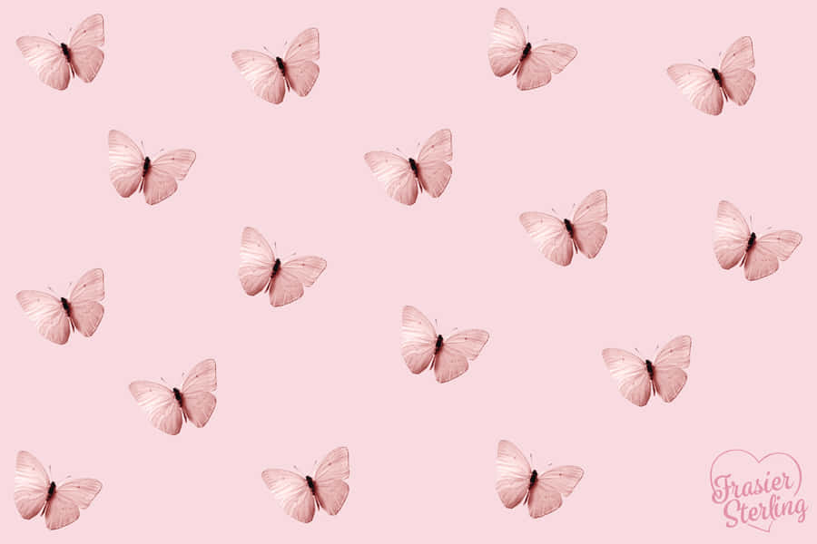 Explore The Intricacies Of Nature With Butterflies Laptop Wallpaper