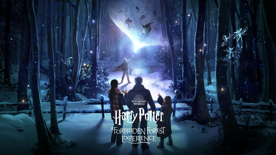 Explore The Magic Of The Wizarding World Wallpaper