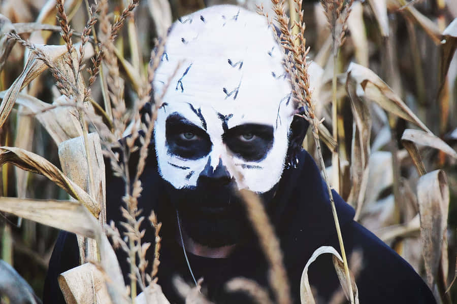 Explore The Terrifying Themed Corn Maze Wallpaper
