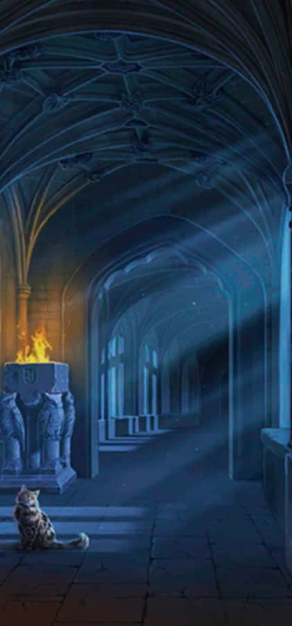 Explore The Unfamiliar In The Hogwarts Forbidden Corridor Wallpaper