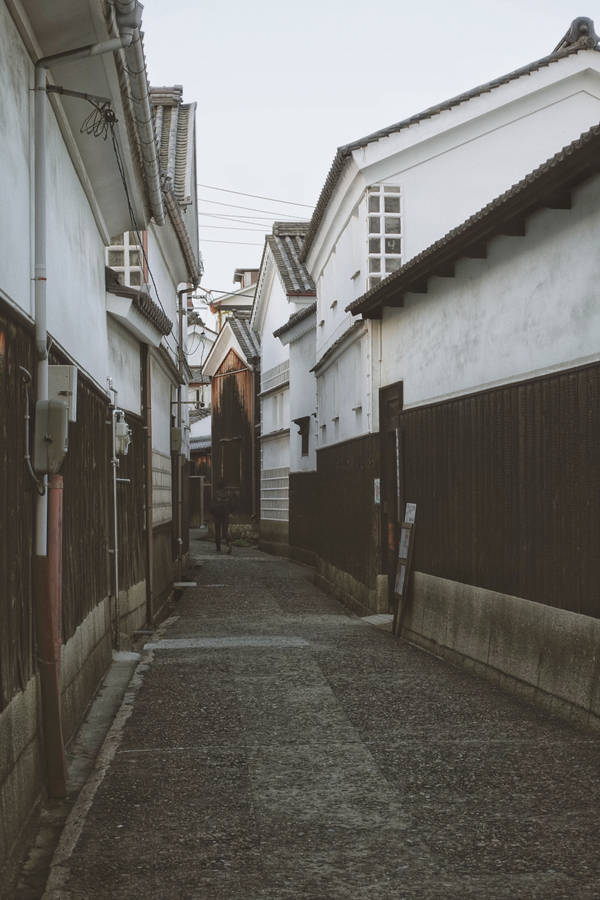 Exploring Dark And Gloomy Streets Wallpaper