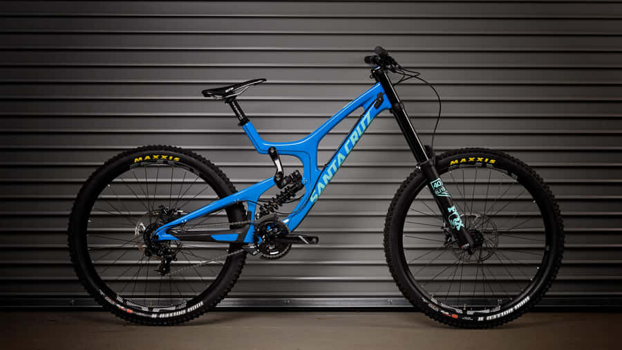 Exploring Santa Cruz With Its Beaches, Redwood Forests And Rocky Cliffs Wallpaper