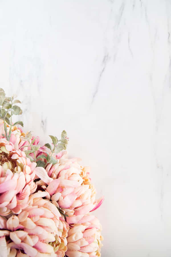Exquisite Floral Arrangement On Pastel Background Wallpaper