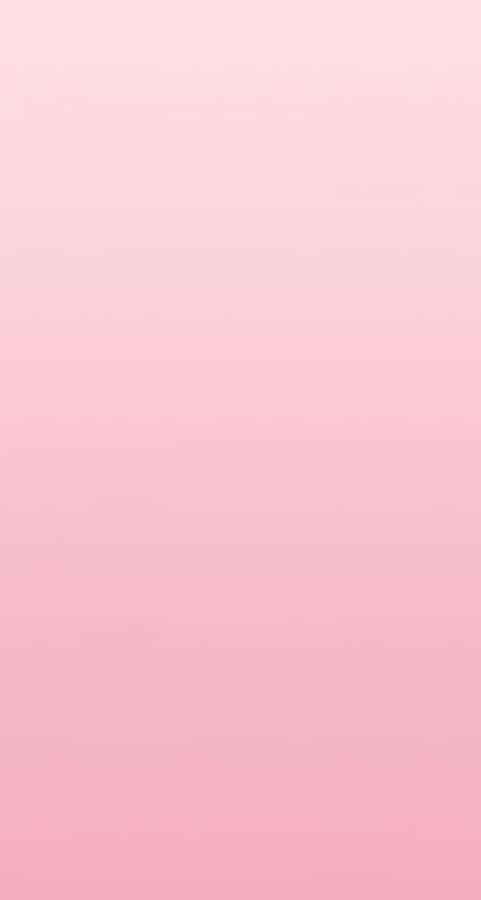 Exquisite Solid-hued Pink Background. Wallpaper
