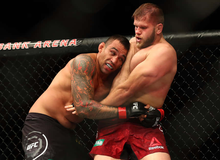 Fabricio Werdum And Marcin Tybura Wallpaper