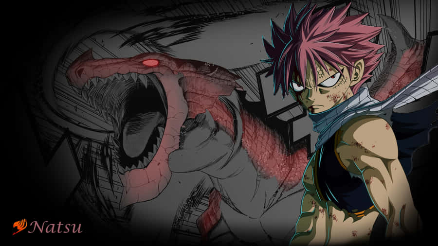 Fairy Tail Natsu Dragon Anime Manga Series Wallpaper