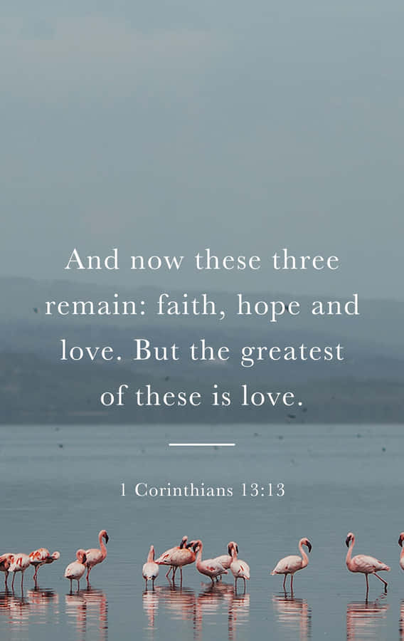Faith Hope Love Flamingos Bible Verse Wallpaper