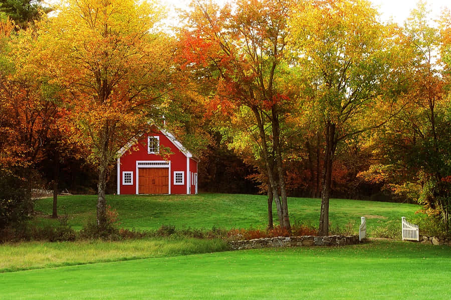 Fall Barn Surrounded By Colorful Foliage Wallpaper