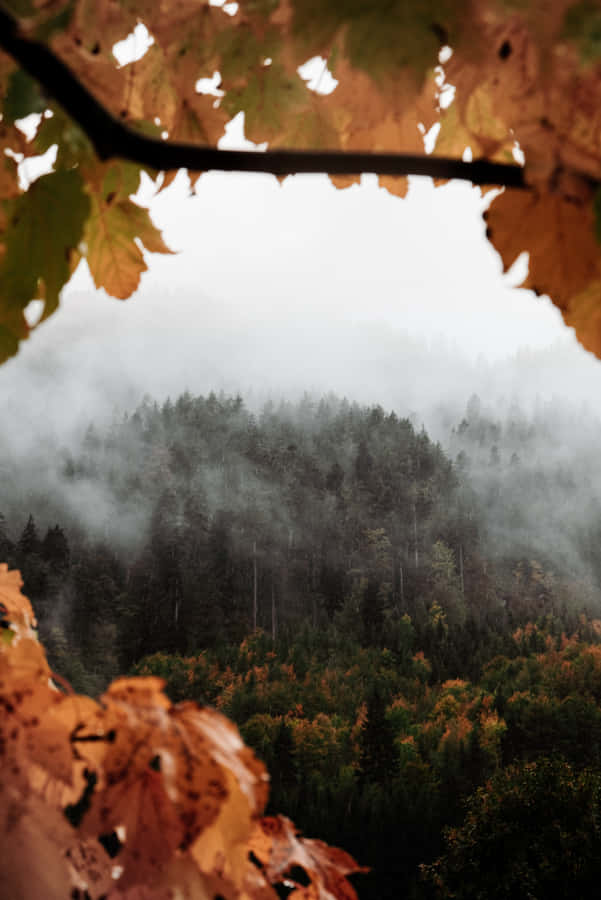 Fall Fog Over A Serene Landscape Wallpaper