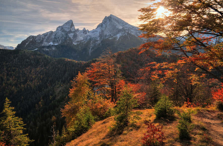 Fall Mountains In Golden Splendor Wallpaper