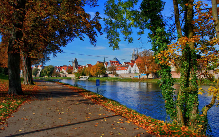 Fall Town: A Colorful Autumn Landscape Wallpaper