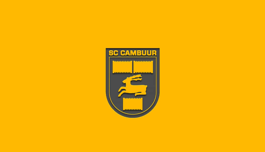 Fans Of Sc Cambuur Celebrating A Goal! Wallpaper