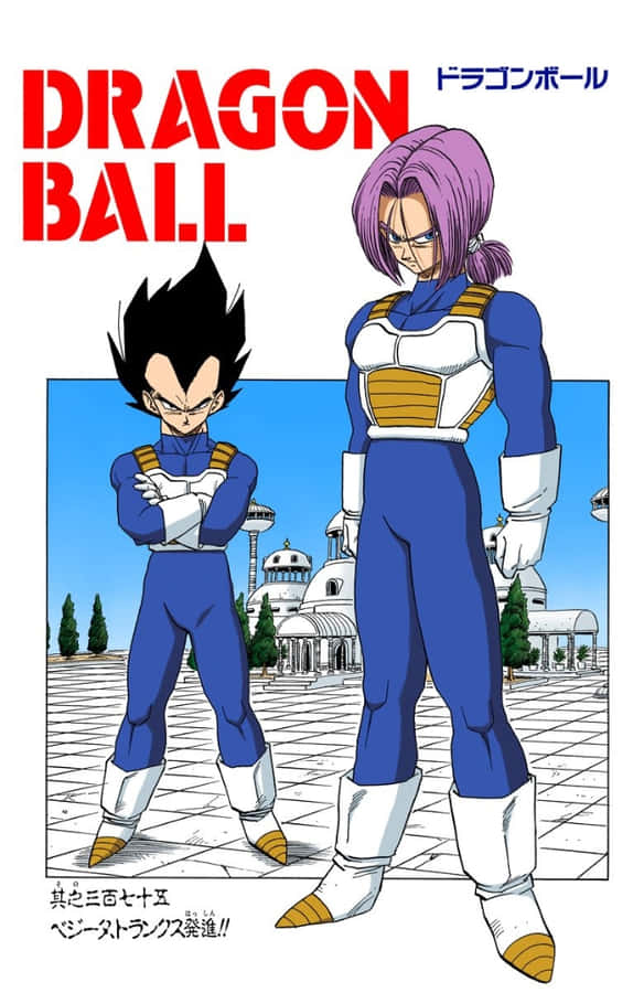 Father And Son Power Duo: Vegeta And Trunks In Battle Stance Wallpaper