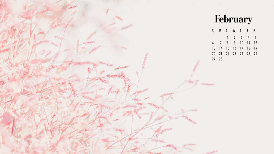 February Pink Blossoms Calendar Background Wallpaper