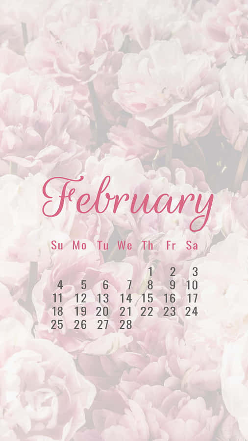 February Pink Floral Calendar Background Wallpaper