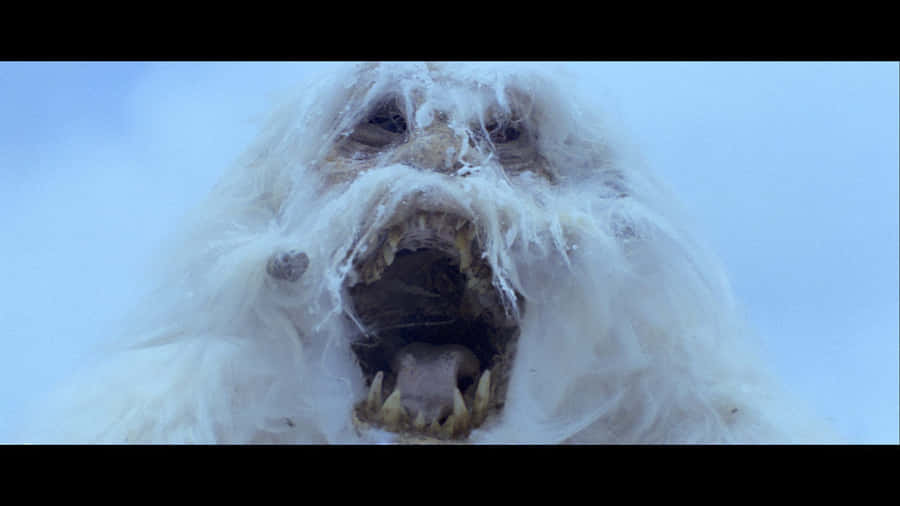 Feel The Force With Wampa. Wallpaper