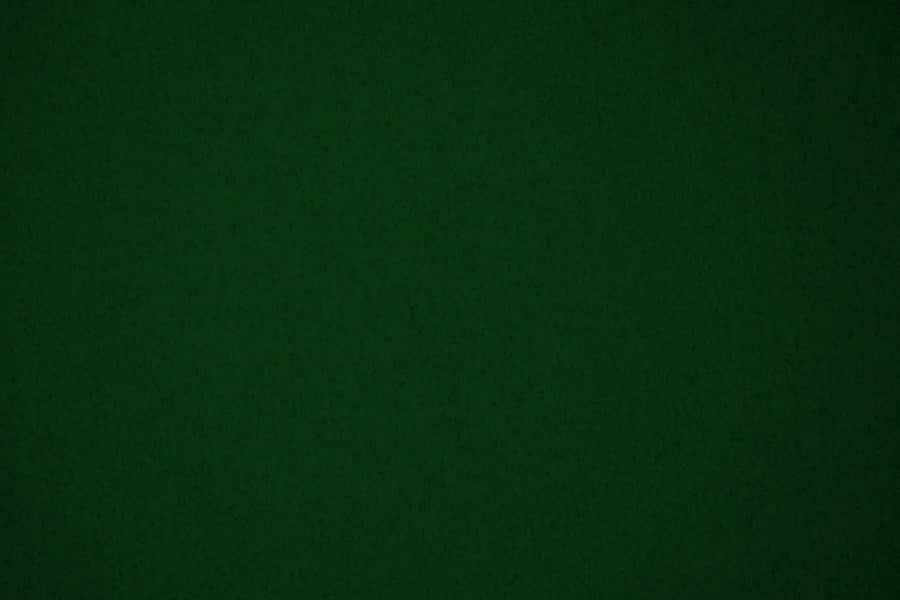 Feel The Freshness Of Nature In A Stunning Forest Green View Wallpaper