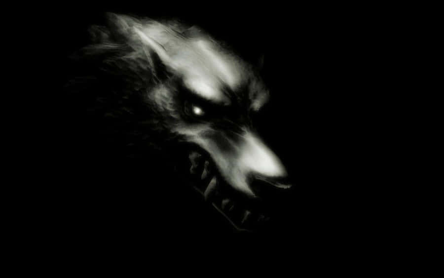 Ferocious Angry Wolf In The Wild Wallpaper
