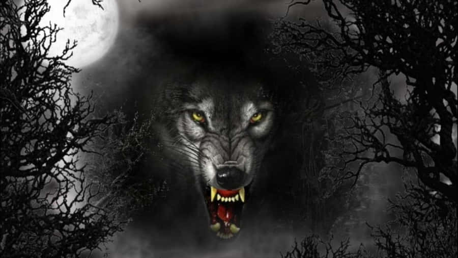 Ferocious Angry Wolf In The Wild Wallpaper