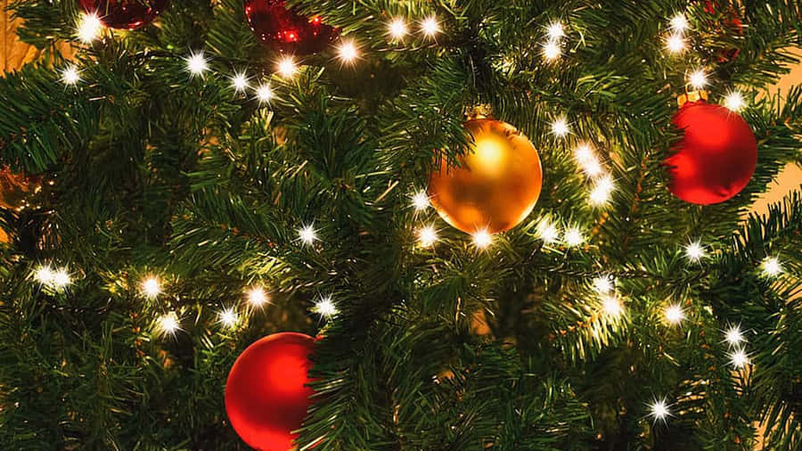 Festive_ Christmas_ Tree_ Lights_and_ Ornaments.jpg Wallpaper