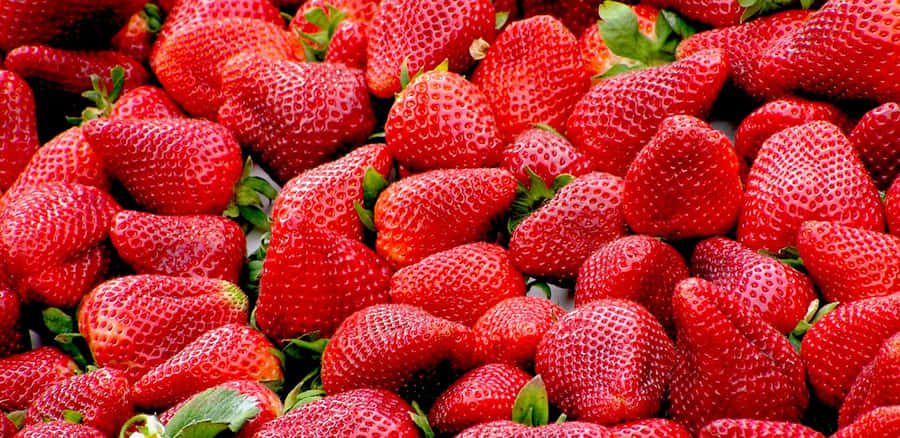 Fictional Futuristic Alps Wallpaper