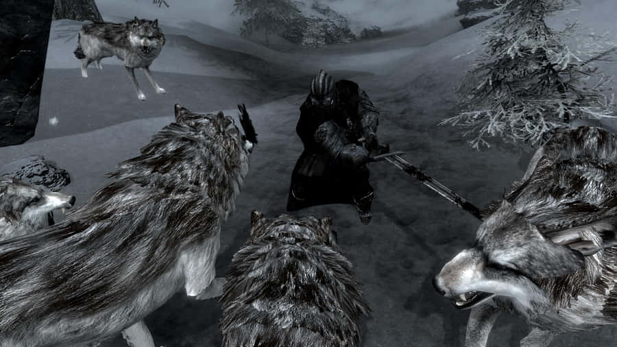 Fierce Wolf Attacking In Wild Nature Wallpaper