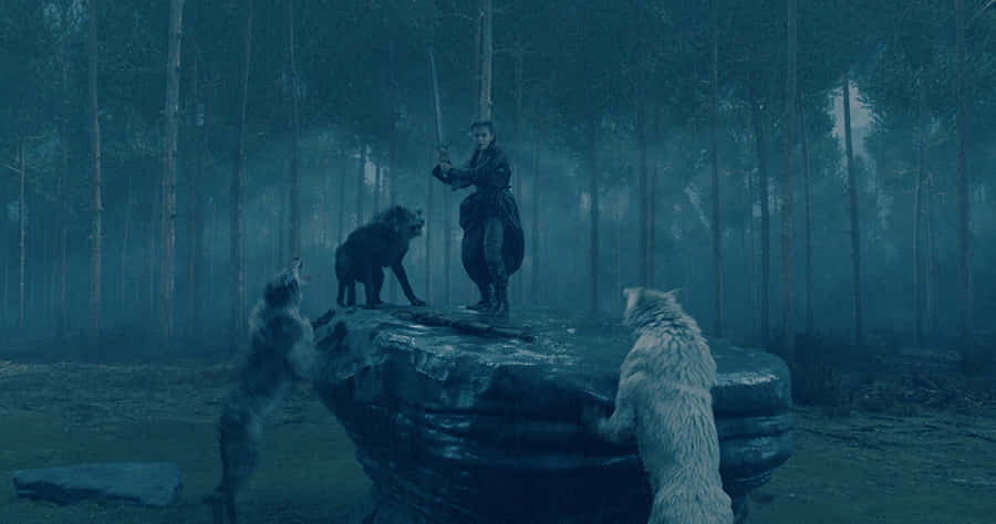 Fierce Wolf Mid-attack In A Forest Wallpaper