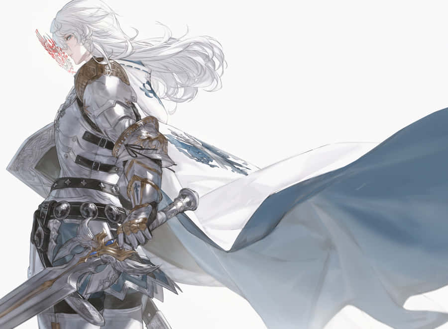 Final Fantasy Paladin Artwork Wallpaper