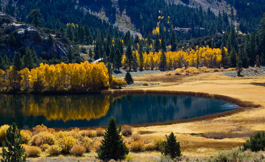 Find Bliss In The Beauty Of Autumn With A Hike In The Mountains Wallpaper