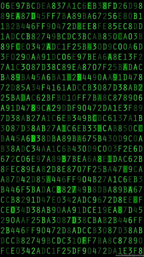 Find Clues In The Matrix Wallpaper