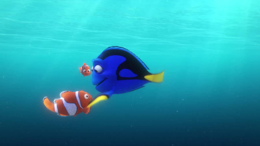 Finding Dory Screencaps Dory Tapping Marlin Wallpaper