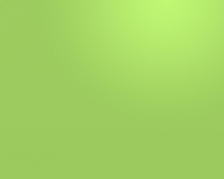 Fine Line On Light Green Plain Wallpaper