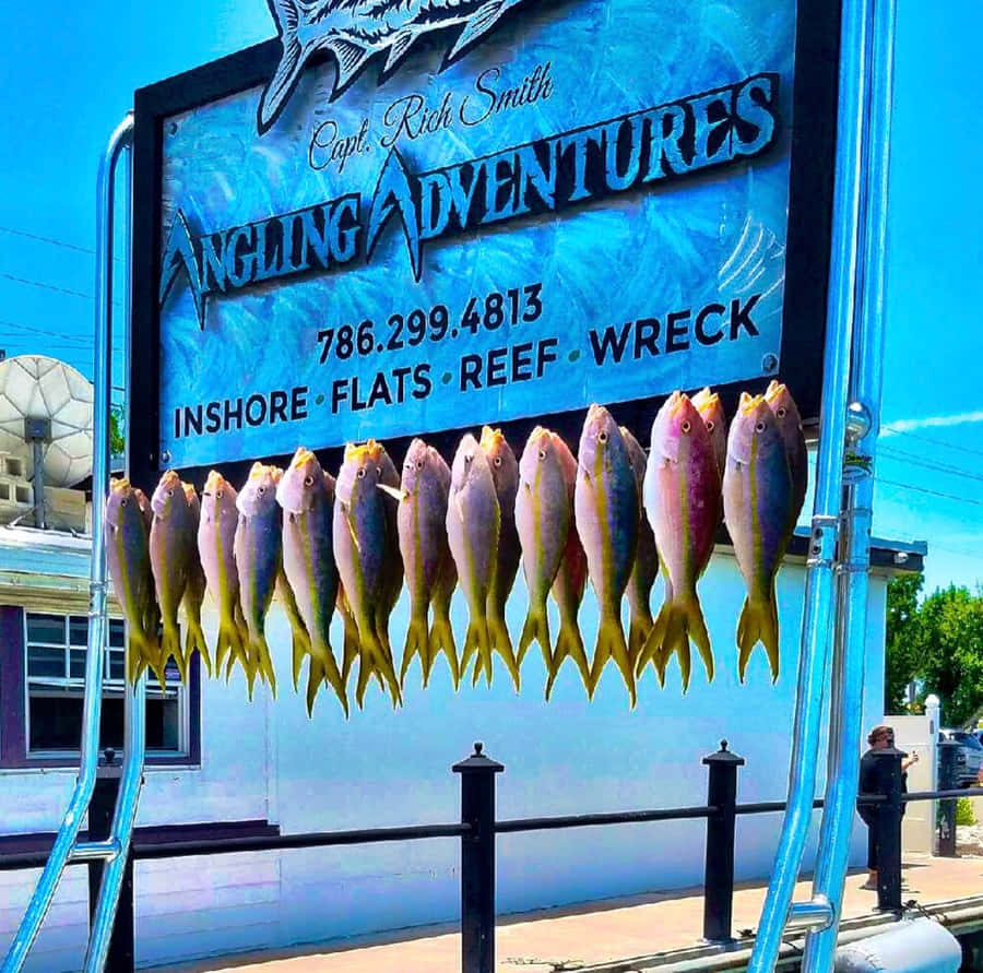 Fishing Trip Catch Yellowtail Snapper Wallpaper