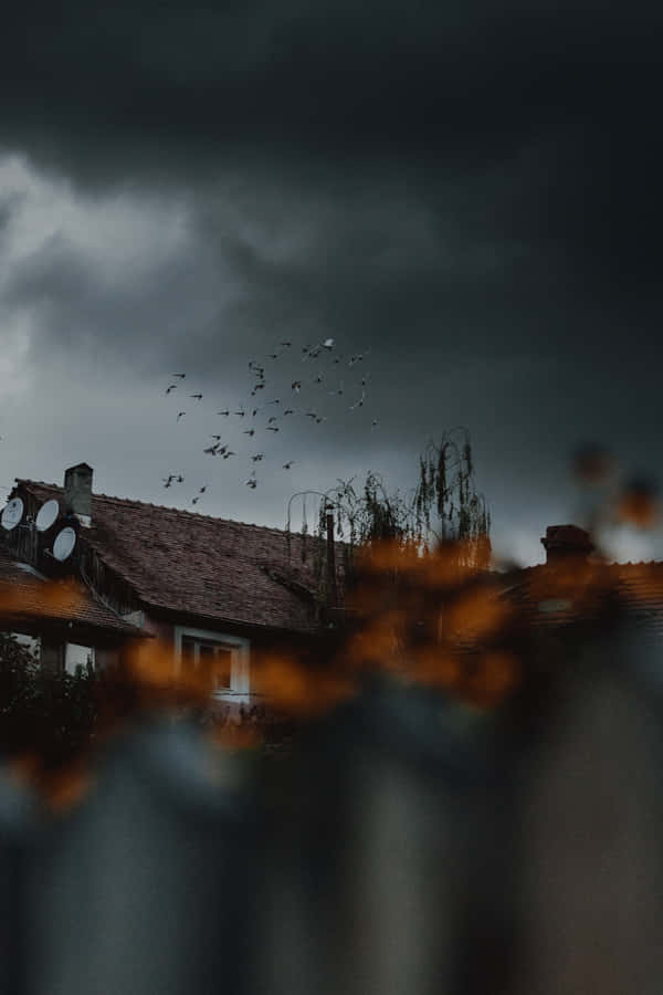 Flock Of Birds In A Moody Weather Wallpaper