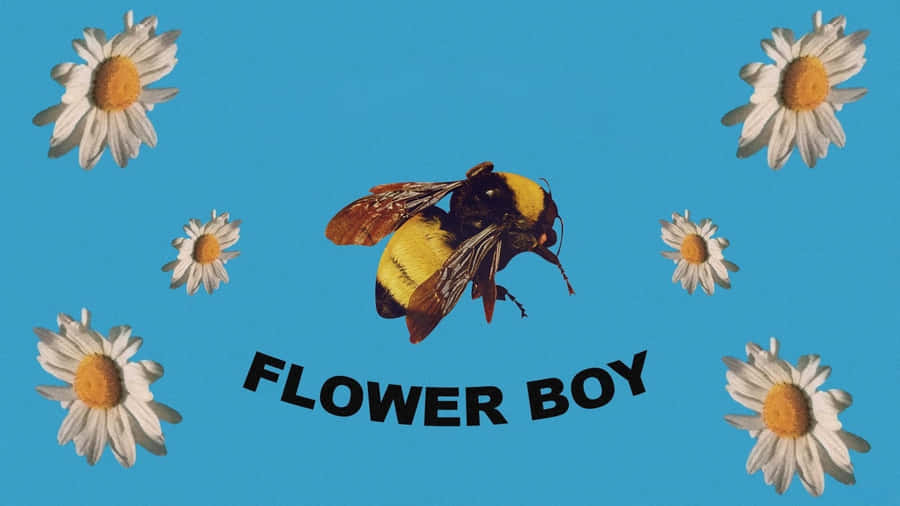 Flower Boy Album Cover Wallpaper